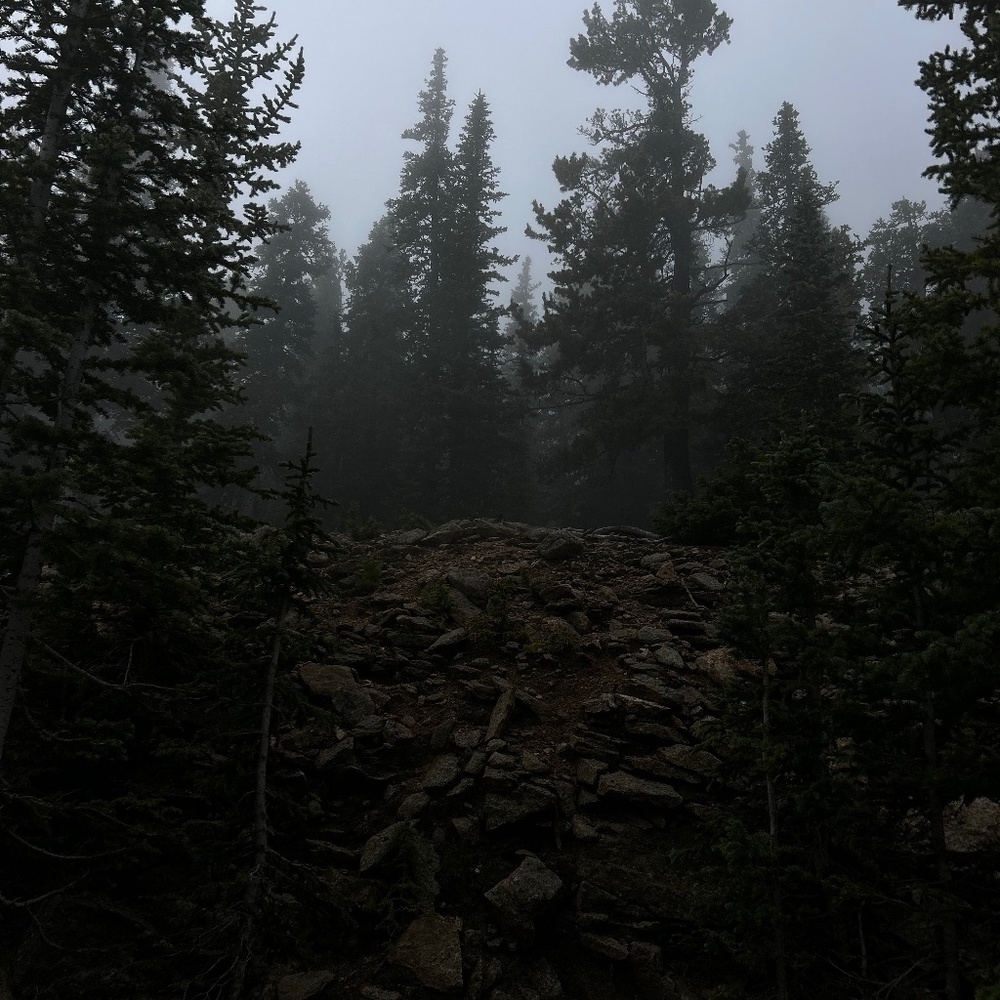 Hello Homies, it’s Sahara